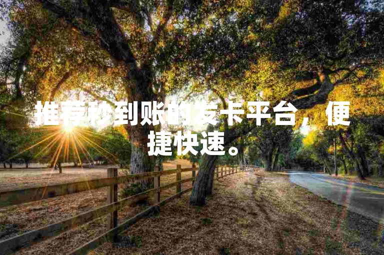 推荐秒到账的发卡平台，便捷快速。