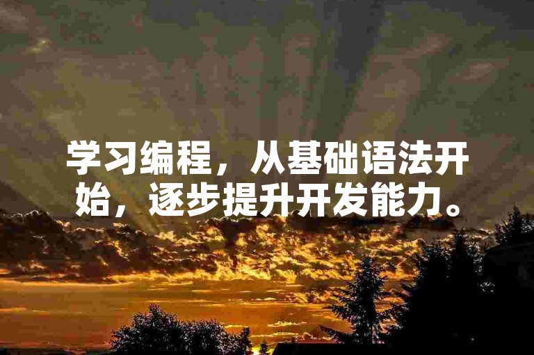 学习编程，从基础语法开始，逐步提升开发能力。