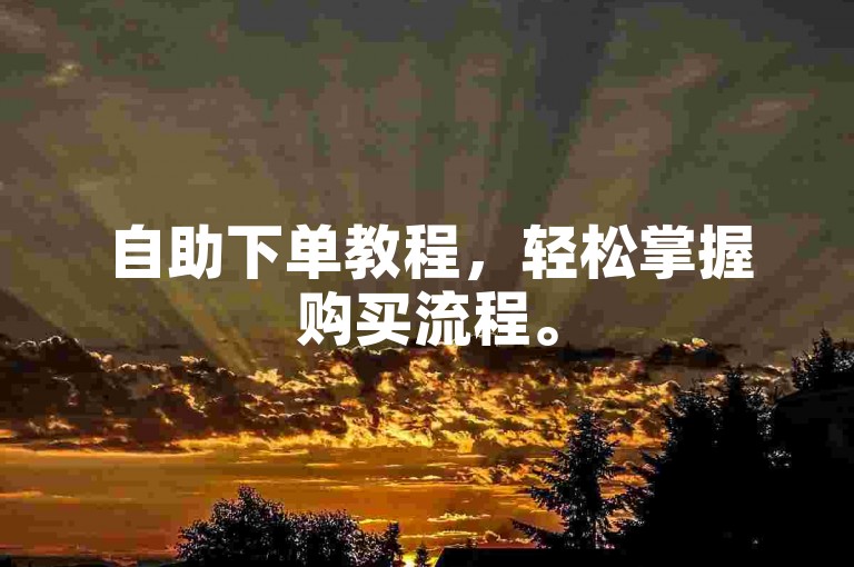 自助下单教程，轻松掌握购买流程。