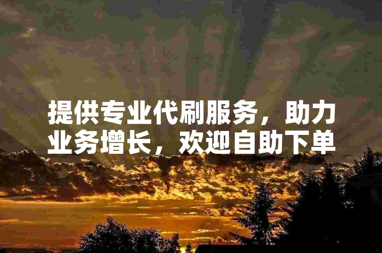 提供专业代刷服务，助力业务增长，欢迎自助下单。