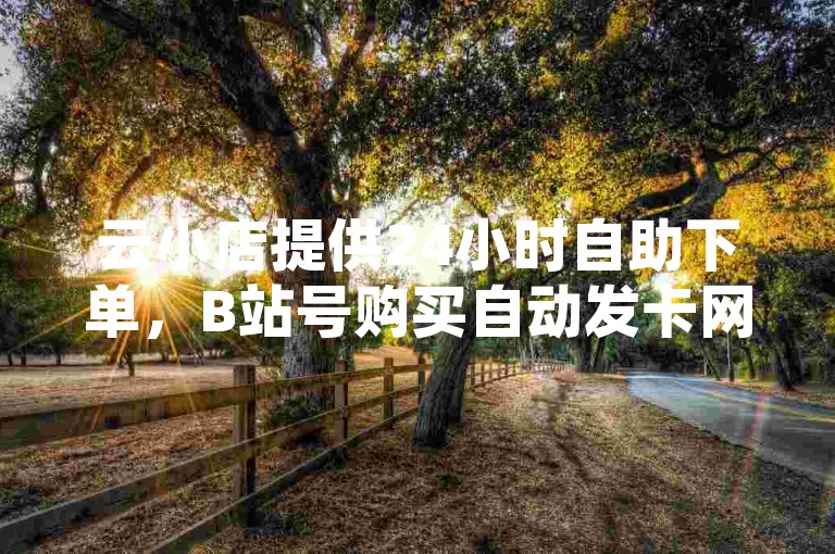 云小店提供24小时自助下单，B站号购买自动发卡网，全网最低价QQ业务平台登录。