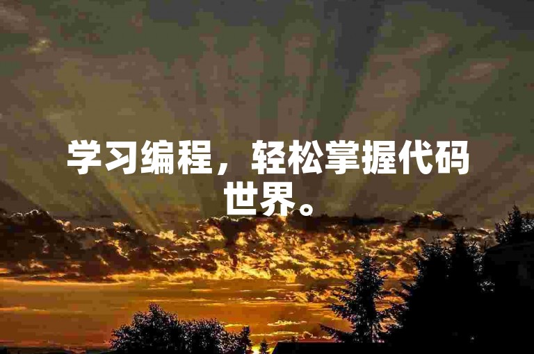 学习编程，轻松掌握代码世界。