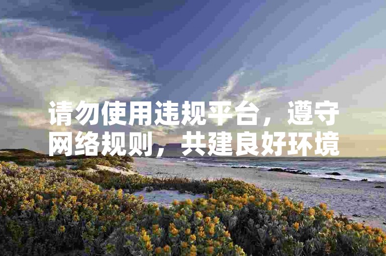 请勿使用违规平台，遵守网络规则，共建良好环境。