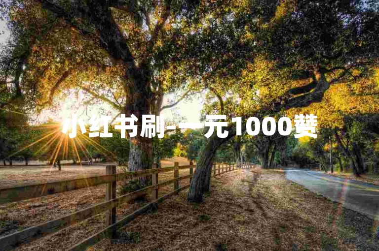 小红书刷-一元1000赞