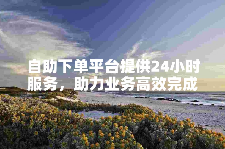 自助下单平台提供24小时服务，助力业务高效完成。