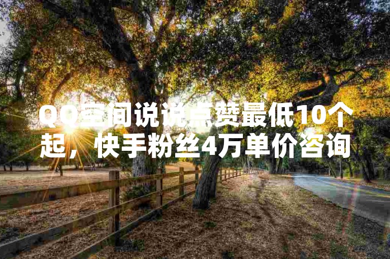 QQ空间说说点赞最低10个起，快手粉丝4万单价咨询。