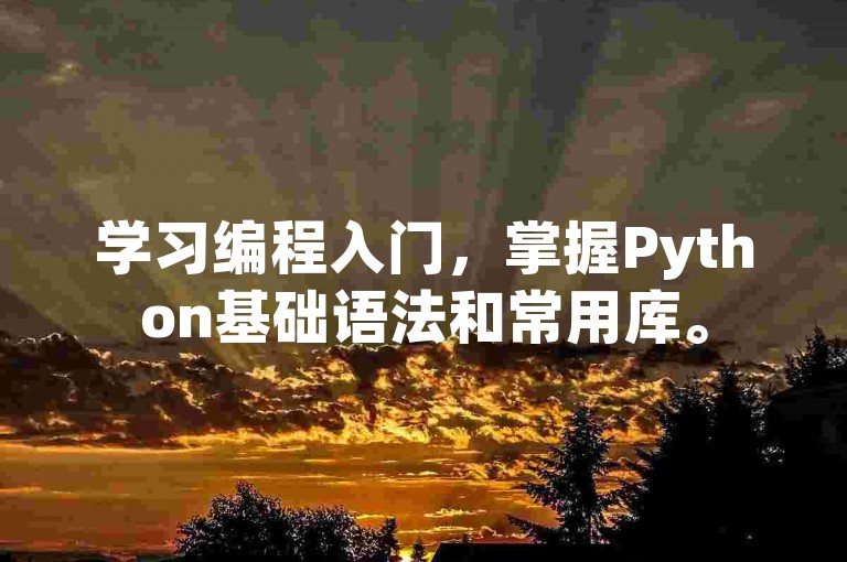 学习编程入门，掌握Python基础语法和常用库。