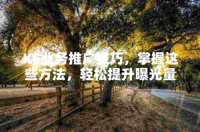 KS业务推广技巧，掌握这些方法，轻松提升曝光量！