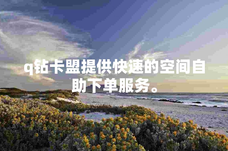 q钻卡盟提供快速的空间自助下单服务。