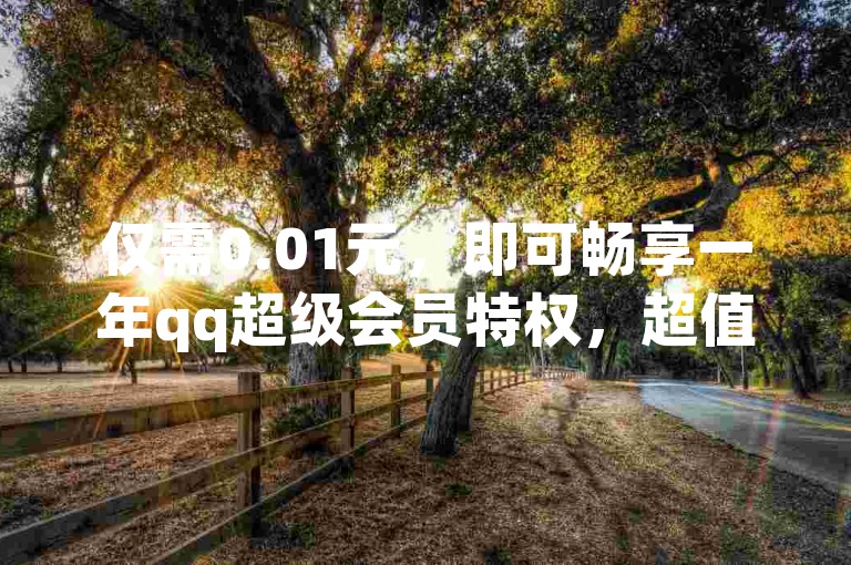 仅需0.01元，即可畅享一年qq超级会员特权，超值优惠不容错过！