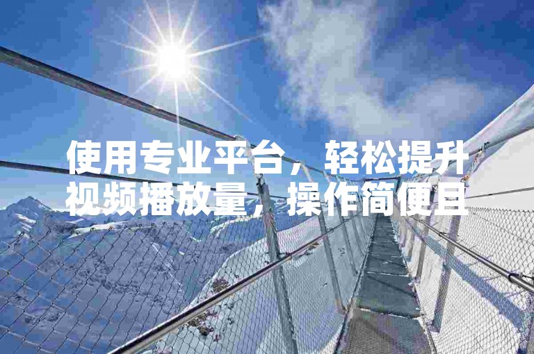 使用专业平台，轻松提升视频播放量，操作简便且价格亲民。