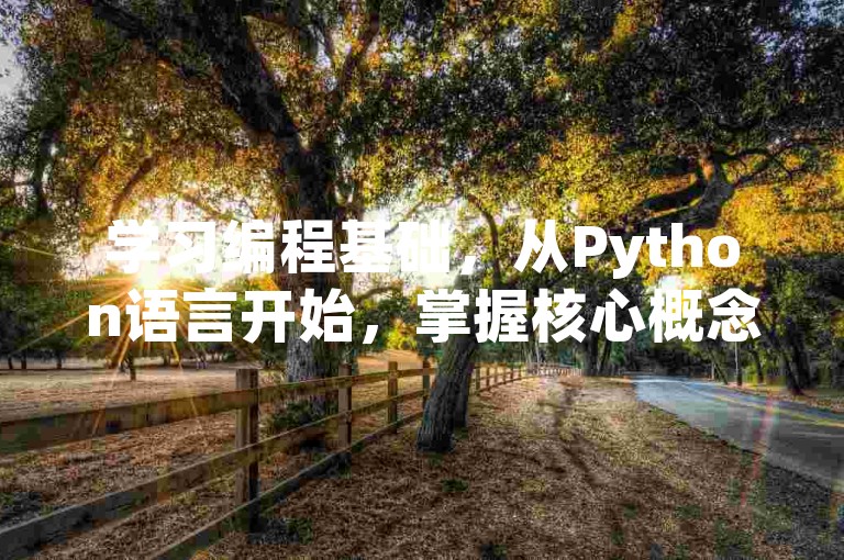 学习编程基础，从Python语言开始，掌握核心概念。