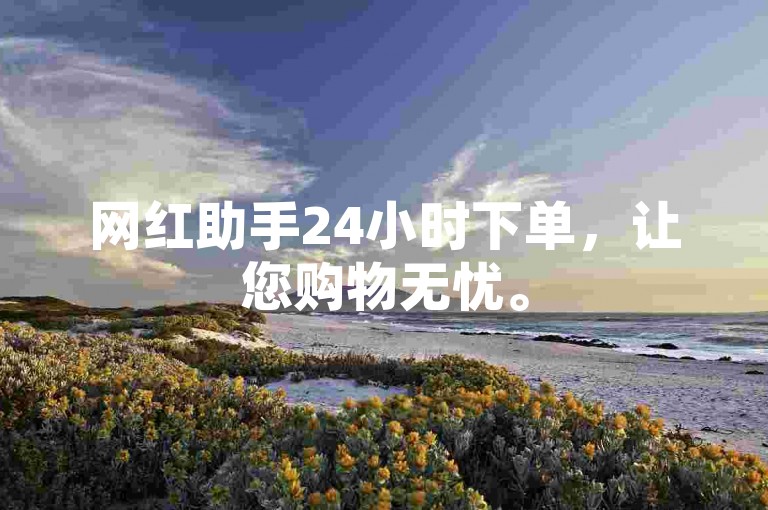 网红助手24小时下单，让您购物无忧。