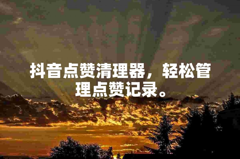 抖音点赞清理器，轻松管理点赞记录。