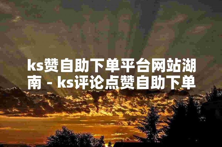 ks赞自助下单平台网站湖南 - ks评论点赞自助下单微信