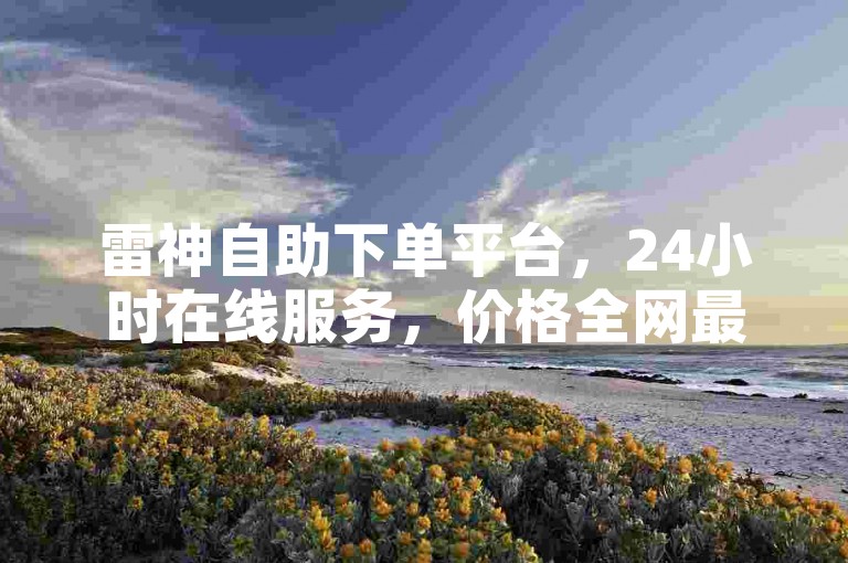雷神自助下单平台，24小时在线服务，价格全网最低。