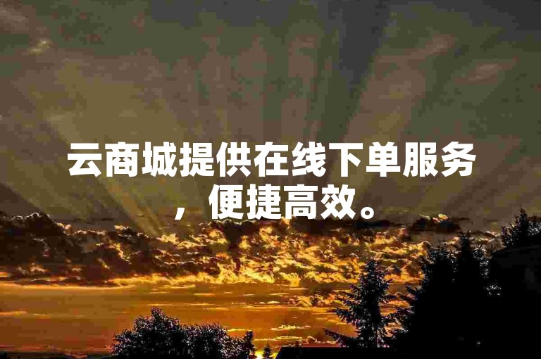 云商城提供在线下单服务，便捷高效。