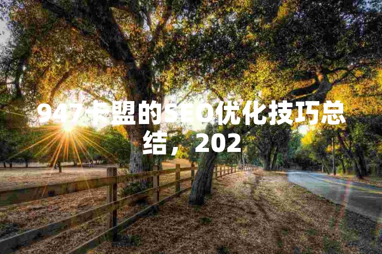 947卡盟的SEO优化技巧总结，2025年必学的独家揭秘！