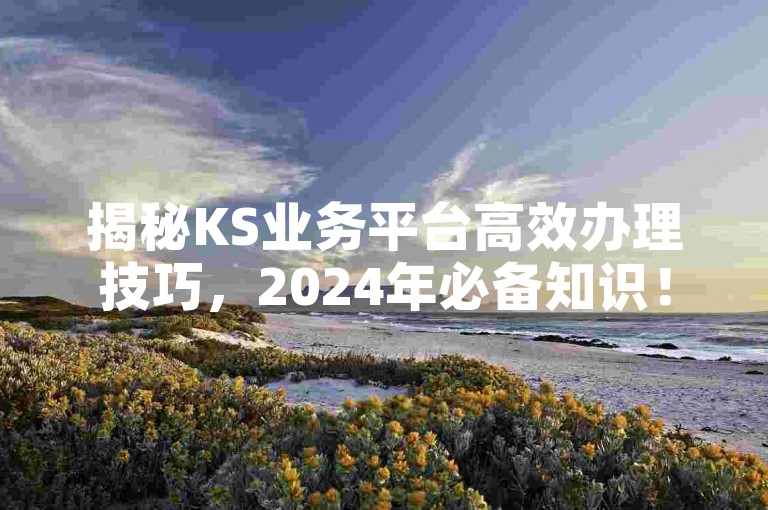 揭秘KS业务平台高效办理技巧，2024年必备知识！