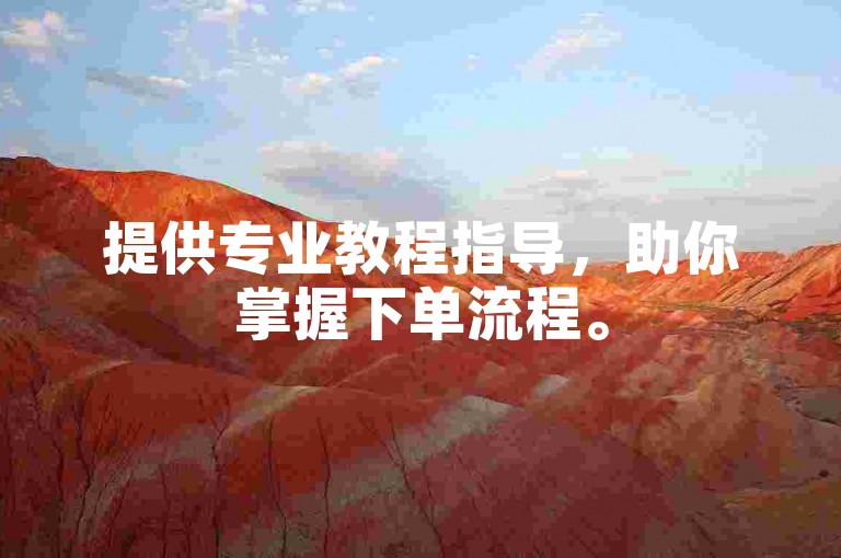 提供专业教程指导，助你掌握下单流程。