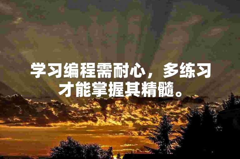 学习编程需耐心，多练习才能掌握其精髓。