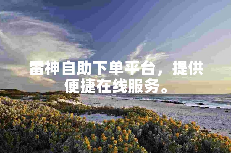 雷神自助下单平台，提供便捷在线服务。