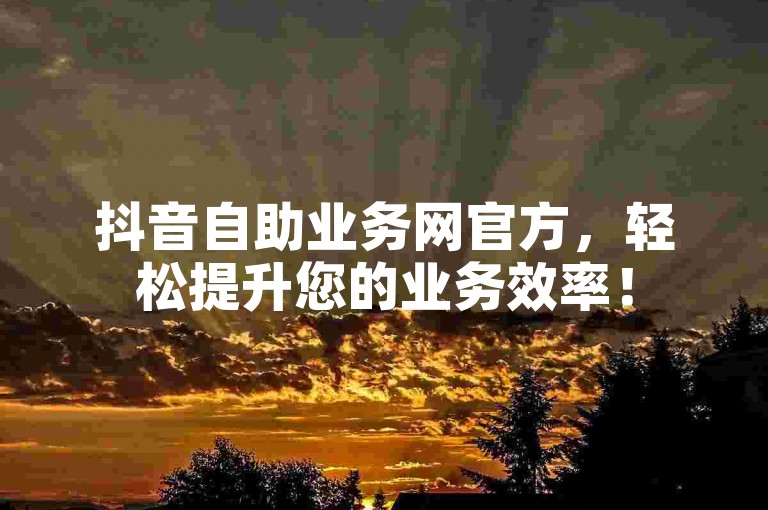 抖音自助业务网官方，轻松提升您的业务效率！