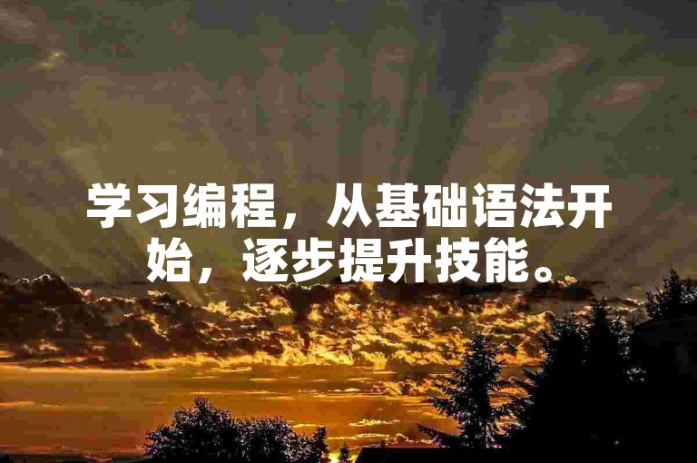 学习编程，从基础语法开始，逐步提升技能。