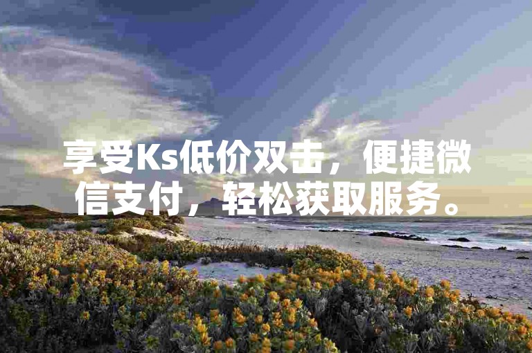 享受Ks低价双击，便捷微信支付，轻松获取服务。