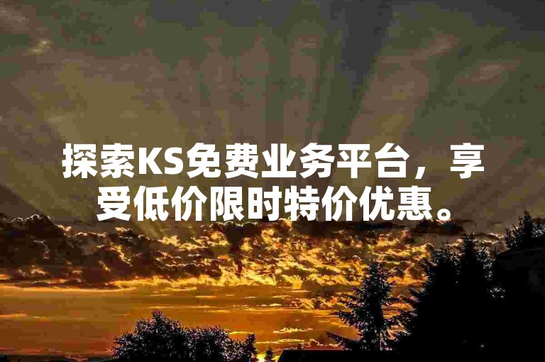 探索KS免费业务平台，享受低价限时特价优惠。