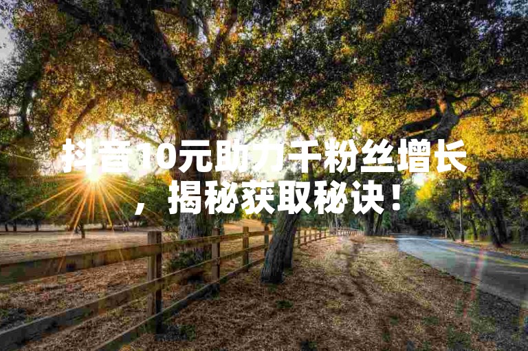 抖音10元助力千粉丝增长，揭秘获取秘诀！