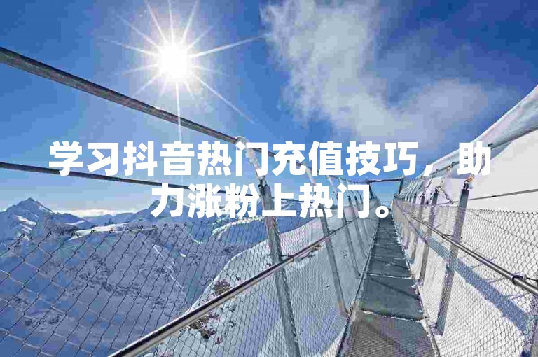 学习抖音热门充值技巧，助力涨粉上热门。