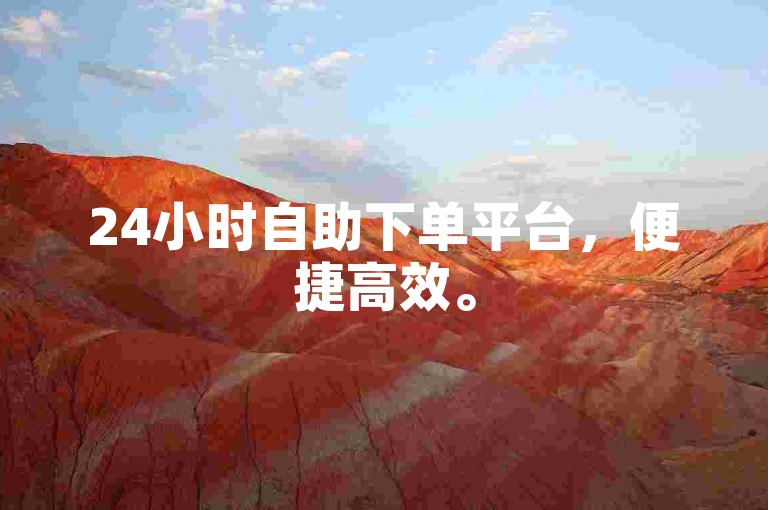 24小时自助下单平台，便捷高效。