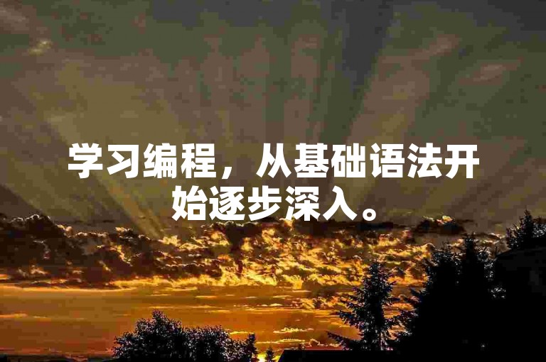 学习编程，从基础语法开始逐步深入。