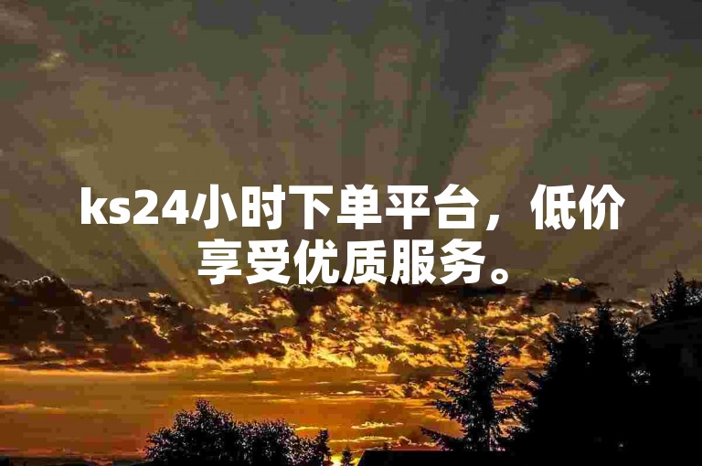 ks24小时下单平台，低价享受优质服务。