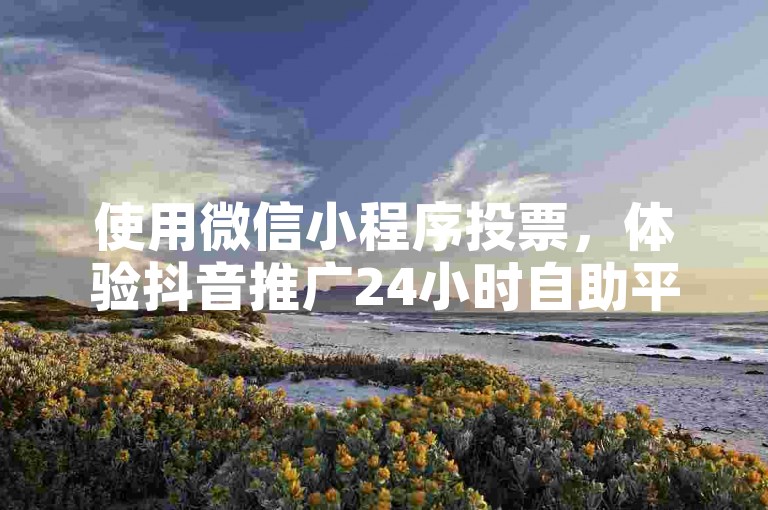使用微信小程序投票，体验抖音推广24小时自助平台服务。