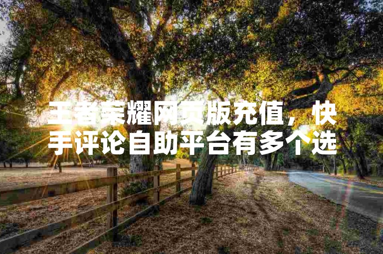 王者荣耀网页版充值，快手评论自助平台有多个选择。
