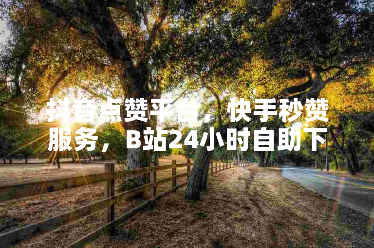 抖音点赞平台，快手秒赞服务，B站24小时自助下单。