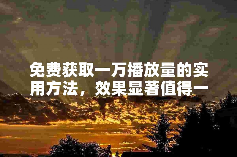 免费获取一万播放量的实用方法，效果显著值得一试。