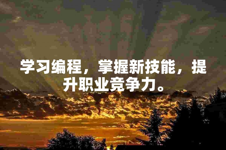 学习编程，掌握新技能，提升职业竞争力。