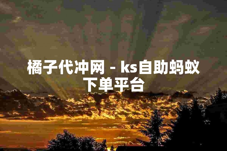 橘子代冲网 - ks自助蚂蚁下单平台
