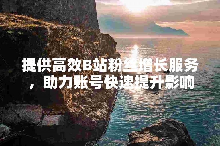 提供高效B站粉丝增长服务，助力账号快速提升影响力。