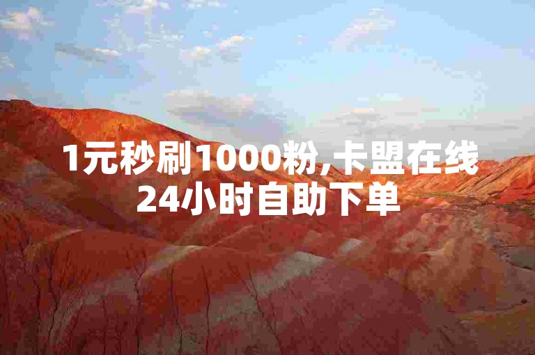 1元秒刷1000粉,卡盟在线24小时自助下单