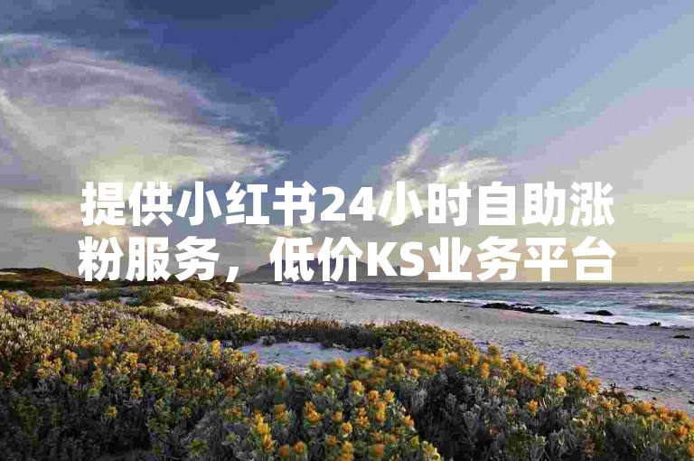 提供小红书24小时自助涨粉服务，低价KS业务平台助您轻松增粉。