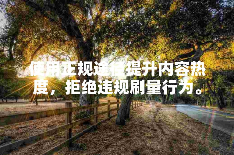 使用正规途径提升内容热度，拒绝违规刷量行为。