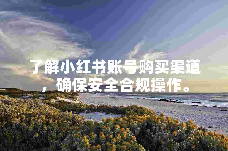了解小红书账号购买渠道，确保安全合规操作。