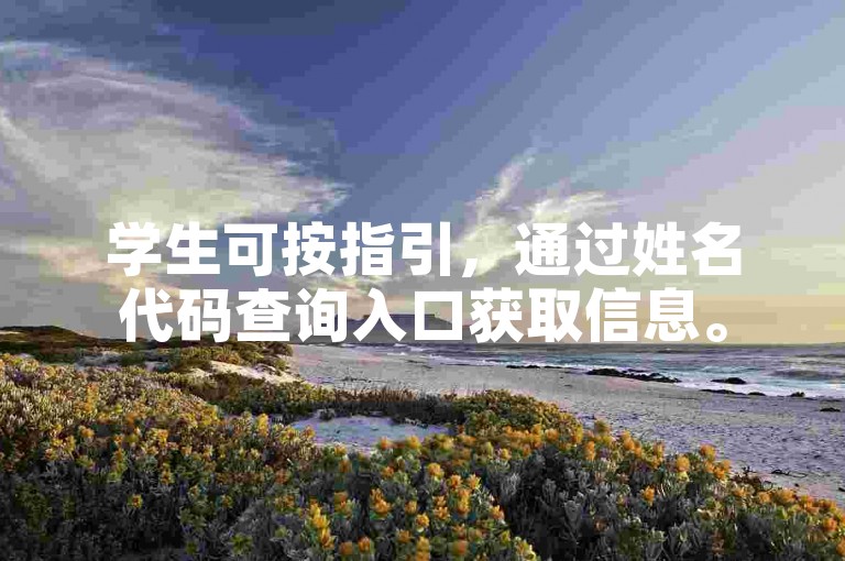 学生可按指引，通过姓名代码查询入口获取信息。