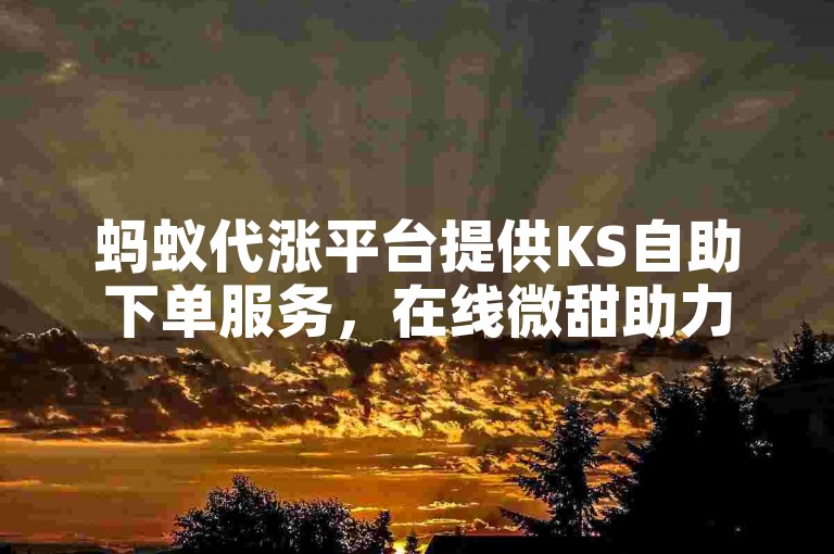 蚂蚁代涨平台提供KS自助下单服务，在线微甜助力。