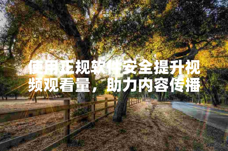 使用正规软件安全提升视频观看量，助力内容传播。