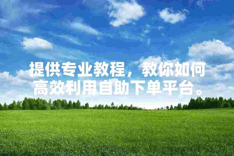 提供专业教程，教你如何高效利用自助下单平台。